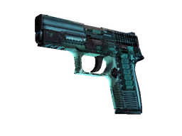 P250 | X-Ray (Field-Tested)